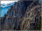 foto Salita dal Monte Tomba a Cima Grappa